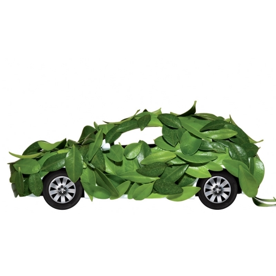 عشر نصائح لسيارة صديقة للبيئة للعيش الأخضر