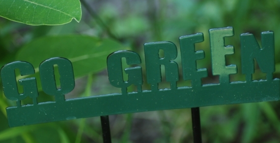 الذهاب الخضراء عشر نصائح لأسلوب حياة صديق للبيئة