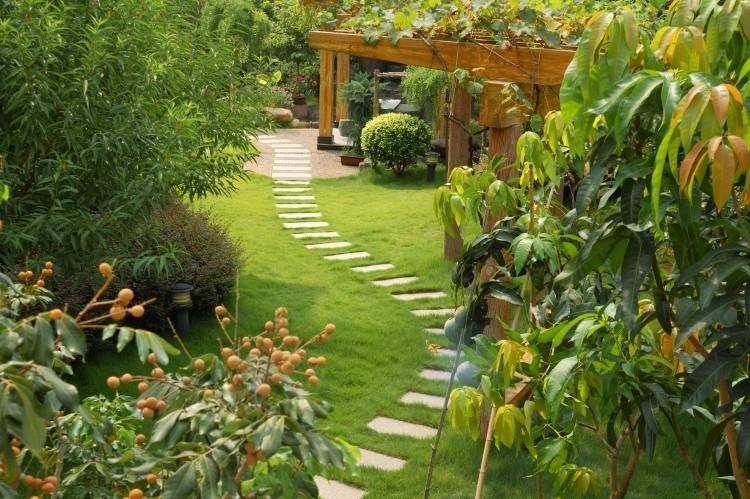 حديقة-رخيصة-تصميم-مسار-عشب-برجولة-شجيرات-اشجار-صيانة حدائق