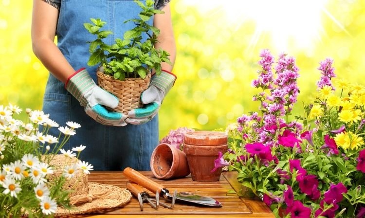 حديقة-رخيصة-تصميم-زرع-زرع-حديقة-أدوات-زهرة-قفازات-سترو قبعة زرع الجدول