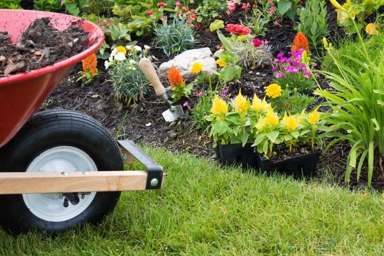 حديقة-تصميم-رخيصة-البستنة-البستنة-زرع-العشب-عربة اليد