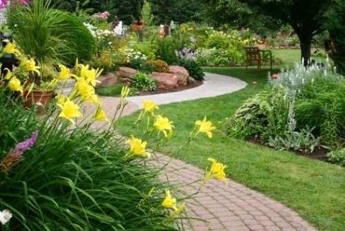 أفكار لتصميم حديقة زهور صفراء رخيصة