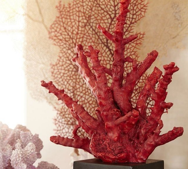 المرجان الاحمر ديكور غرفة المعيشة الصيف