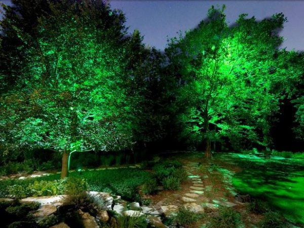 أفكار للإضاءة في الحديقة تضيء الأشجار