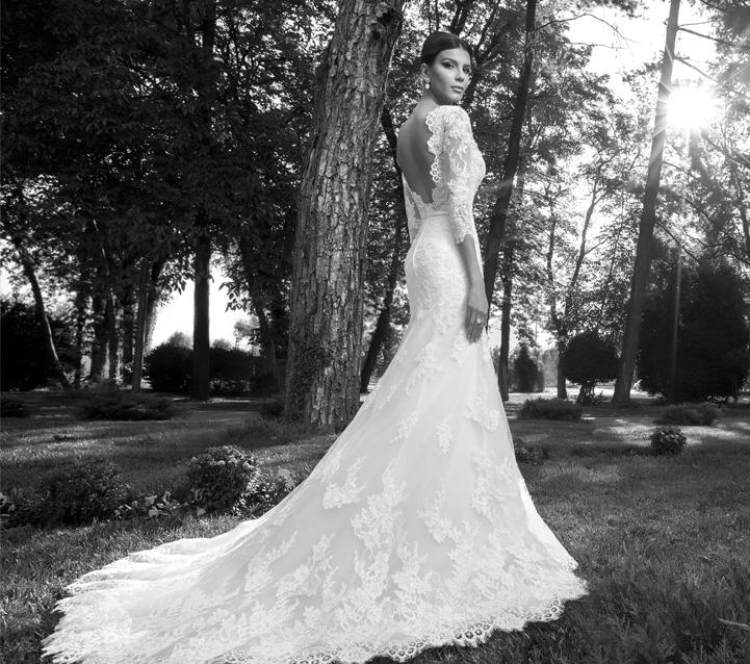 فستان الزفاف الفاخر الشكل المعانقة الدانتيل عارية الذراعين الأكمام الاتجاه 2014-bien-savvy-collection