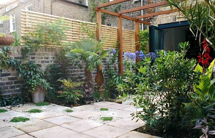 small-backyard-paradise-privacy-protection-wood-pergola-greenery- نباتات