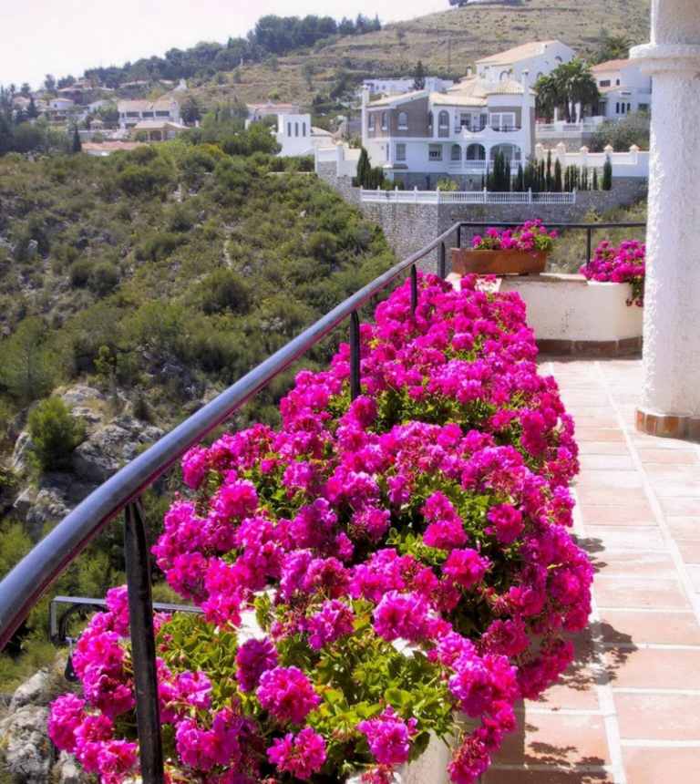 أفكار لتصميم شرفة الزهور الوردية الزهور البحر الأبيض المتوسط ​​مربعات المورقة