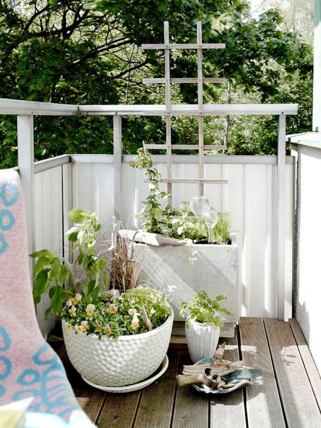 أفكار النباتات شرفة صغيرة أواني الزهور البيضاء