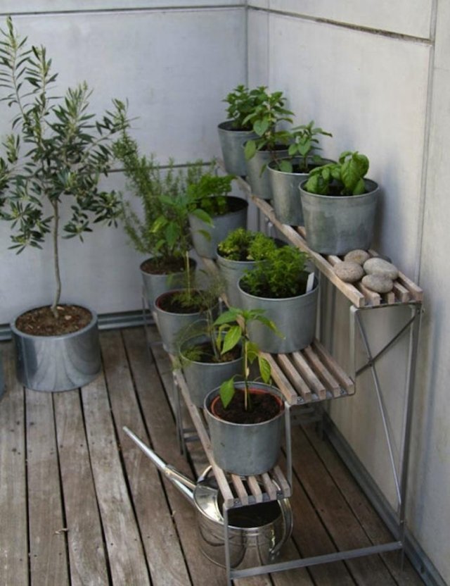 أفكار نباتات الشرفات تقف مدرجات أعشاب خضروات