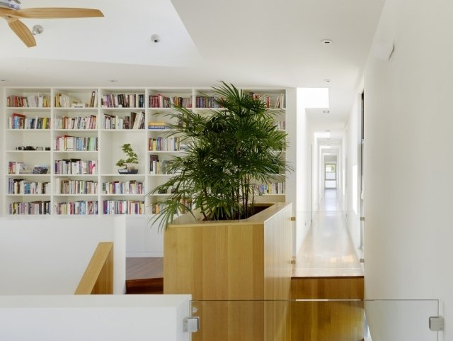 النباتات الشقة الحديثة المدخل الخشب مربع غرفة المقسم الدرج رف الكتب