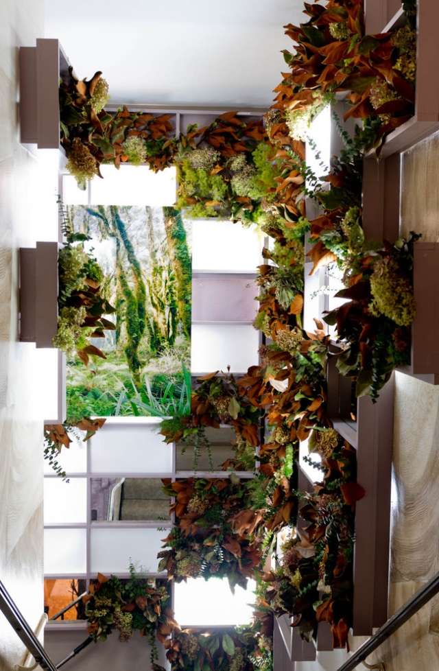 النباتات الداخلية ديكو فكرة الحاويات العمودية نافذة درج