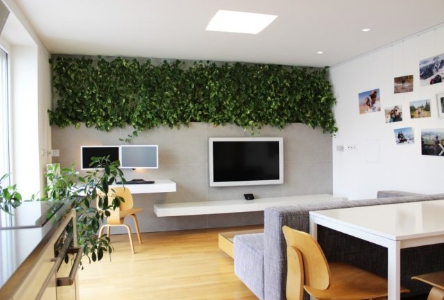زخرفة نباتات داخلية الجدار التلفزيون شقة صغيرة صديقة للبيئة