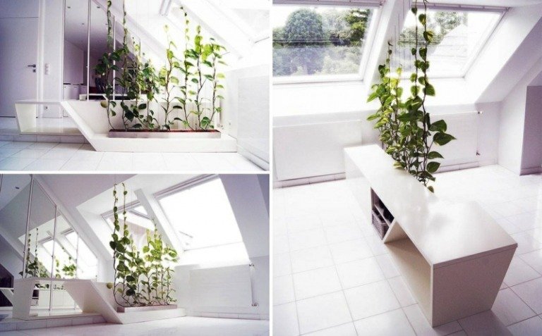 خزانة زخرفة نباتية داخلية مدمجة في وعاء الزهور لتسلق النباتات في الحمام