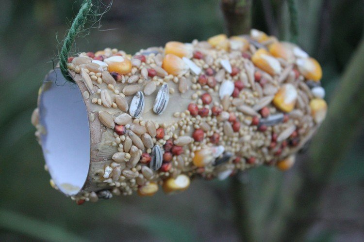 أفكار لأنشطة الأطفال محطة تغذية الطيور الصيفية DIY