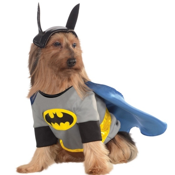 أزياء باتمان الكلب كرنفال حزب الأفكار الحديثة كرنفال هالوين