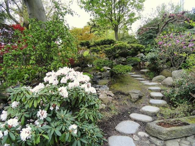 اليابانية حديقة يخطو الحجارة الرصيف رودودندرون الأبيض
