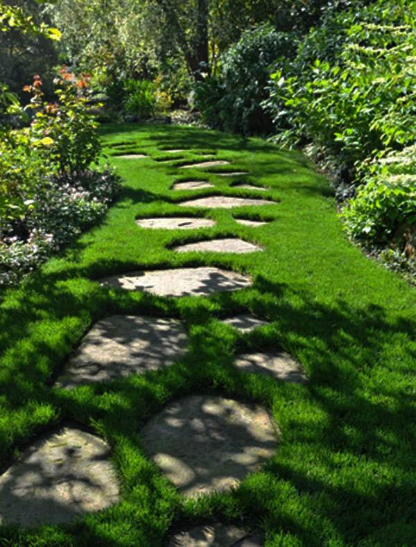 تصميم مسار الحديقة وضع حجارة في الحديقة بشكل عشوائي
