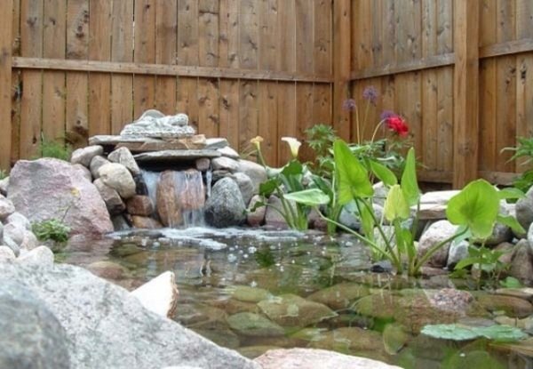 نظام مائي للشعور بالراحة مع وجود بركة حجرية في الحديقة