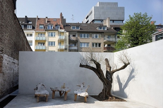 الفناء الداخلي شجرة تجديد شقة حديثة في دوسلدورف