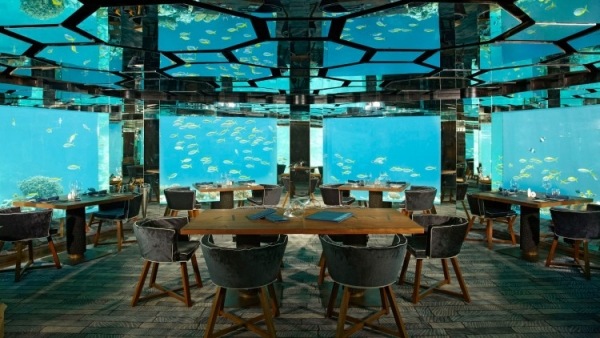 مطعم تحت الماء - منتجع أنانتارا كيهافا جزر المالديف