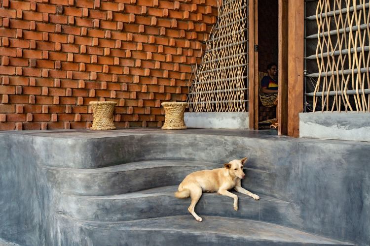 كلب صغير يرقد على سلالم مصنوعة من الأسمنت الحديدي أمام منزل مع خيزران منسوج كحاجز للخصوصية
