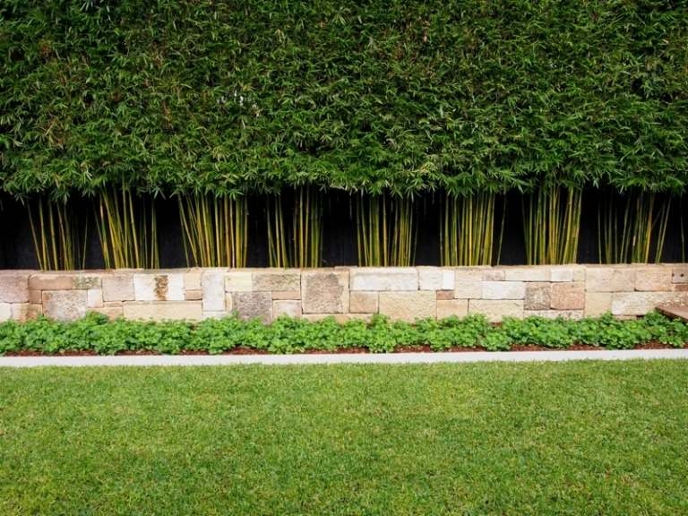 الخيزران في حديقة شجيرات العشب منخفضة الجدار التصميم