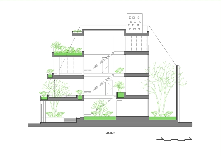 قواعد فنغ شوي تبني المقطع العرضي لخطة أرضية الأشجار والنباتات الخضراء
