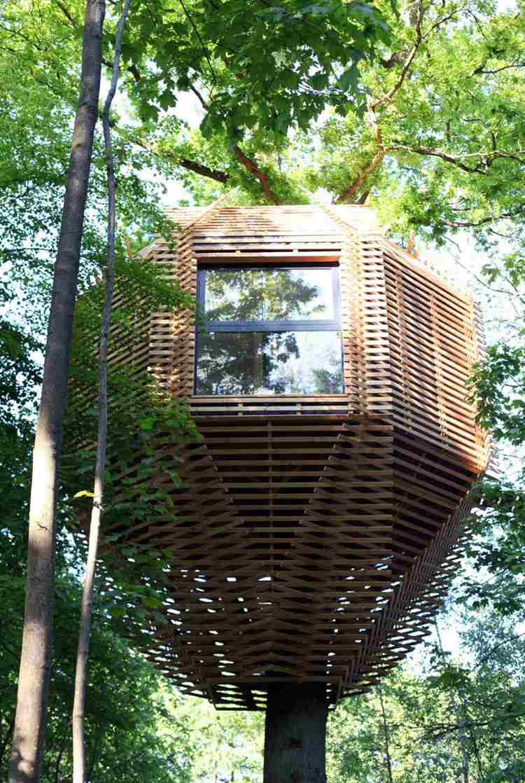 البقاء بين عشية وضحاها منزل الشجرة الطبيعة الخشبية للواجهة الشرائح العمارة