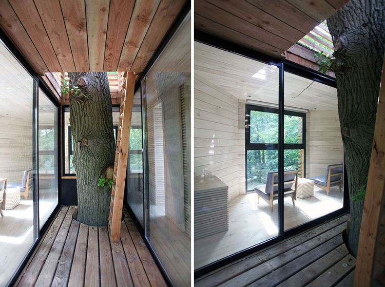 البقاء بين عشية وضحاها طبيعة منزل الشجرة داخل الخشب نافذة بانوراما خارج