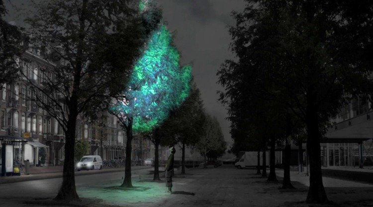 شجرة متوهجة في مفهوم المدينة بدون استهلاك الكهرباء بواسطة مصباح بيولوجي