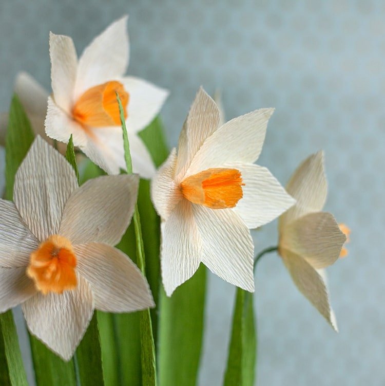 اصنع زهور الربيع من ورق الكريب - أزهار النرجس باللون الأبيض أو الأصفر