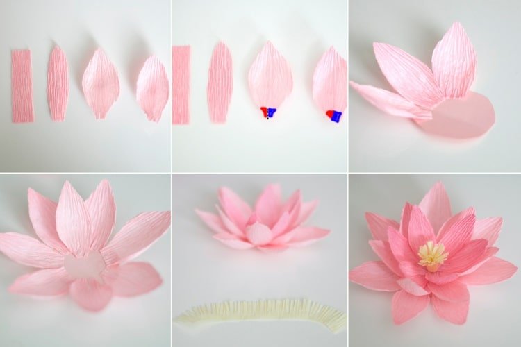 اصنع زهورًا من ورق الكريب - زنبق الماء الجميل والبسيط باللون الوردي