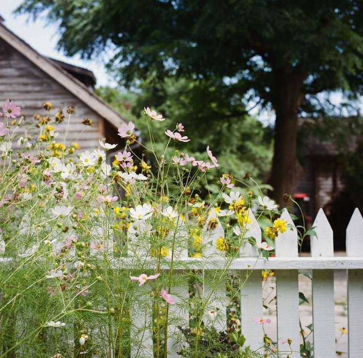 قم بإنشاء فراش زهور بجوار سياج الحديقة بأسلوب منزل ريفي