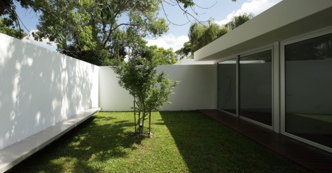 منزل خرساني جدار - فناء داخلي شجرة مزروعة واجهة زجاجية - سقف مسطح