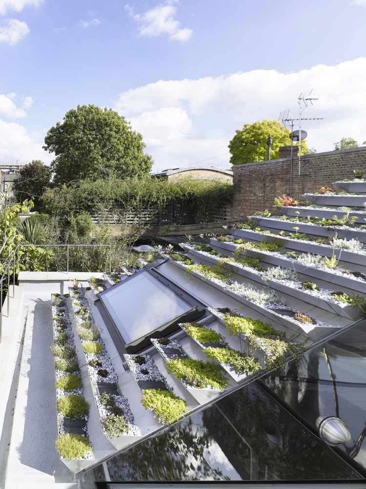 إنشاء حديقة على السطح - سقف أخضر - حديث - تصميم سقف - حديقة حضرية