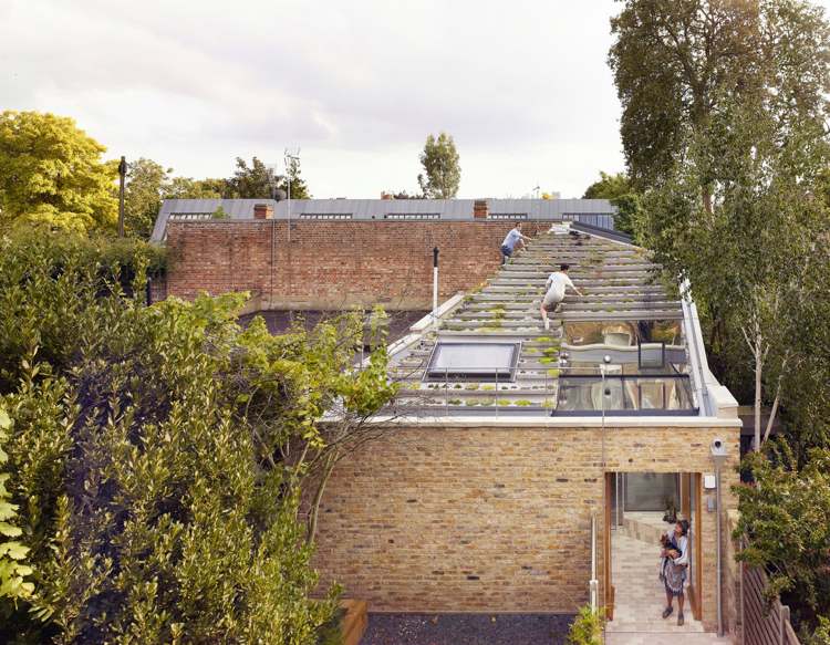 سقف-حديقة-إنشاء-سقف-أخضر-نباتات-مدينة-كلنكر-طوب
