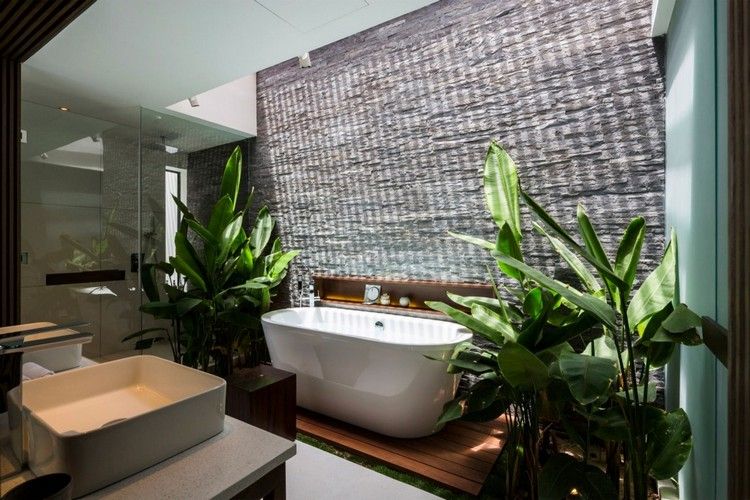 حمام - جدار حجري - أرضيات خشبية - نبات - حوض استحمام