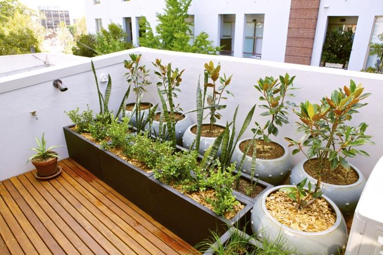 أواني نباتات مستطيلة الشكل على السطح-تراس-تصميم-زرع-مستطيل