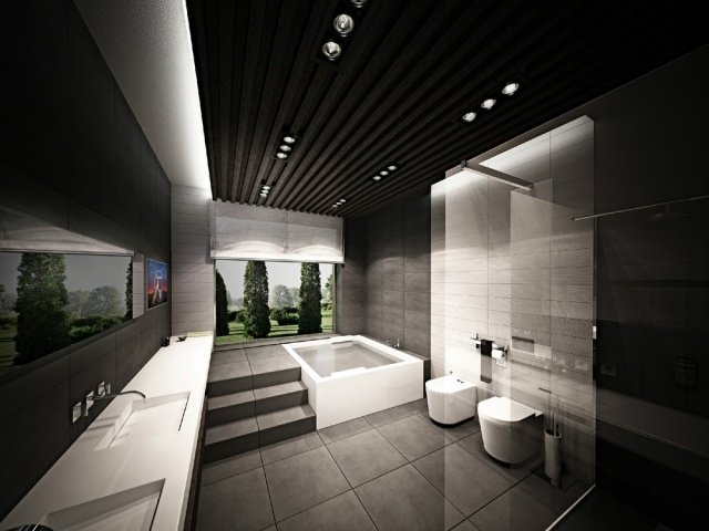 الظلام الدرامي الحمام 3D مفهوم الداخلية - بيتر سيرجيف