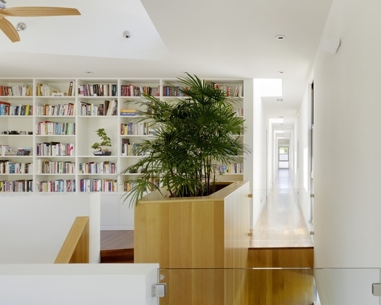 غرفة المعيشة شجرة بونساي الحديثة مشرق الكتب الجرف