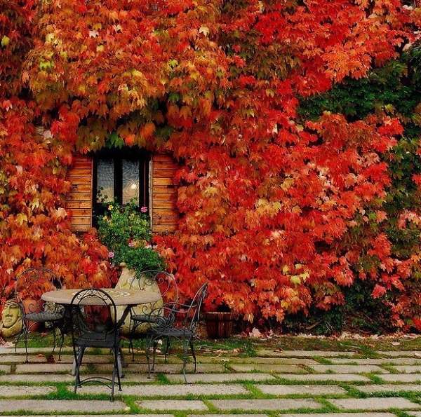 حديقة الخريف بألوان النار والكراسي المعدنية الحمراء على طراز البحر الأبيض المتوسط
