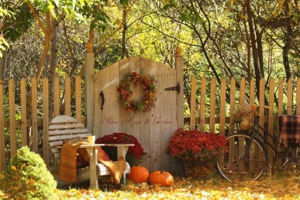 ألوان الخريف - حديقة المجوهرات - بالطبع سروال الخريف - الباب الأحمر الخشب