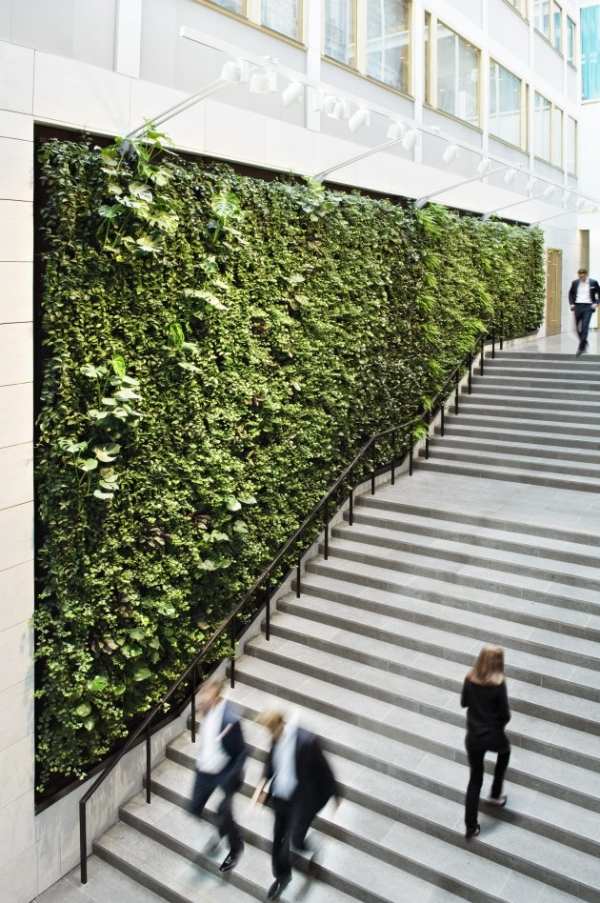 بناء عام الجدار الأخضر كعنصر معماري