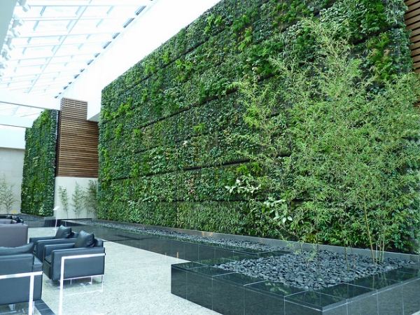 الجدار الأخضر اللوبي الحديث كعنصر معماري