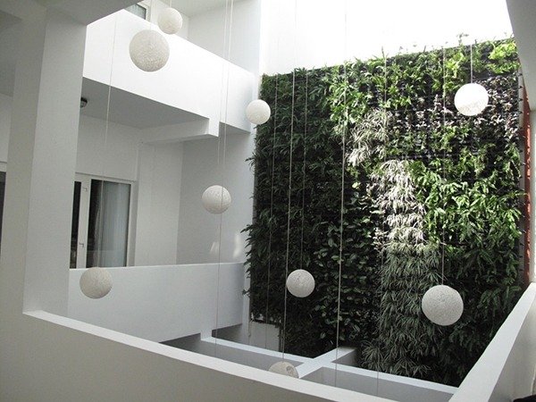التصميم الحديث للجدار الأخضر كعنصر معماري