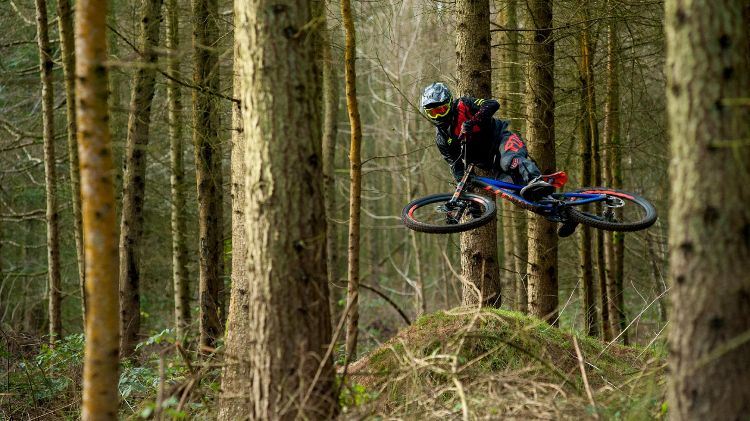 انحدار الدراجة شراء نصائح الدراجة الجبلية نزول القفز الغابات