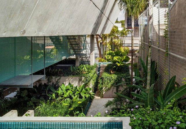 الهندسة المعمارية الحديثة الحد الأدنى النباتات دائمة الخضرة حديقة بركة