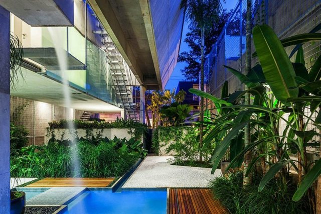 نباتات الشرفة دائمة الخضرة المائية تتميز بمنزل العائلة ساو باولو