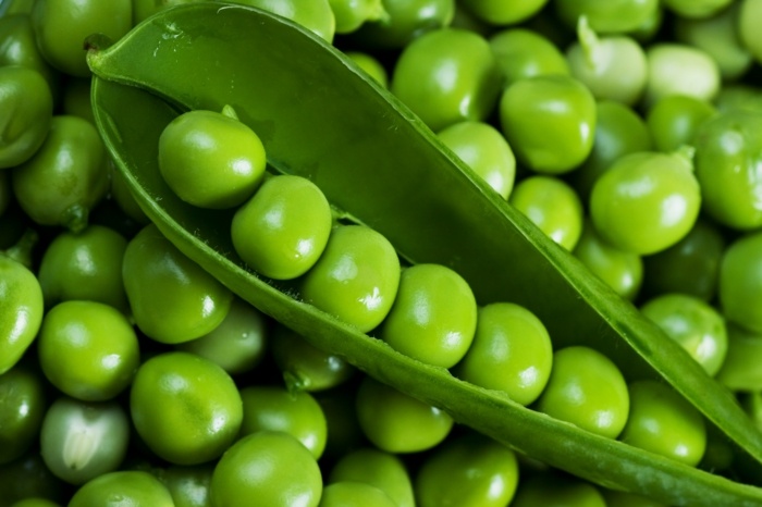 البازلاء الخضراء فكرة الأكل الصحي حديقة الخضار