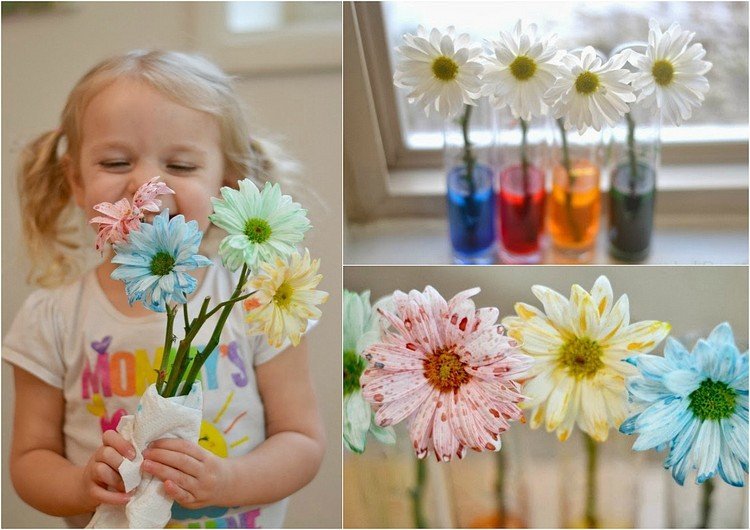 تجارب-أطفال-في-المنزل-نباتات-ألوان-زهور-بيضاء-تلوين-نتيجة